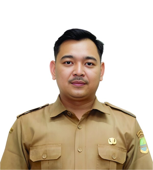 RYAN HARTONO